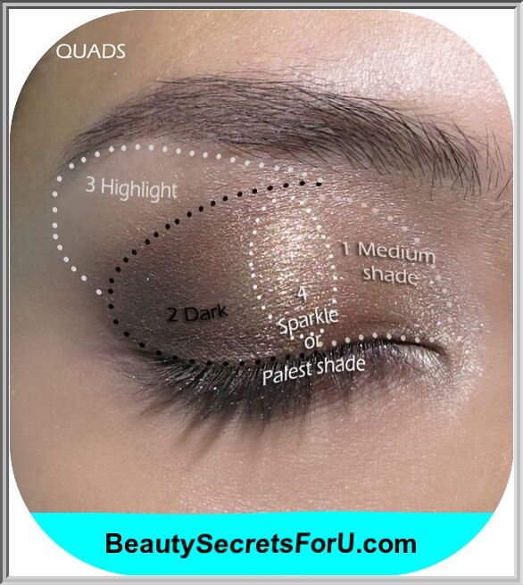 Easy Step by Action Eye Shadow Tutorials for Beginners